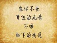 海口市喜环实业有限公司