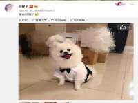 海口市喜环实业有限公司