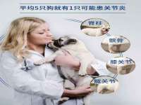 海口市喜环实业有限公司