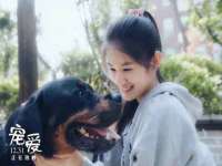 海口市喜环实业有限公司