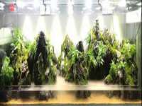 海口市喜环实业有限公司