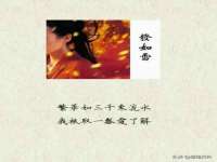 海口市喜环实业有限公司