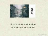 海口市喜环实业有限公司