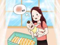 海口市喜环实业有限公司