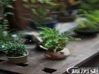 海口市喜环实业有限公司