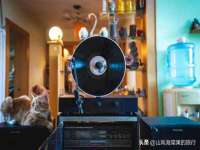 海口市喜环实业有限公司