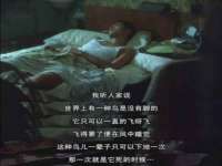 海口市喜环实业有限公司