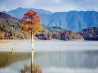 海口市喜环实业有限公司