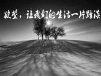 海口市喜环实业有限公司