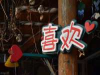 海口市喜环实业有限公司