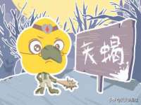 海口市喜环实业有限公司
