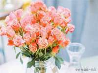 海口市喜环实业有限公司