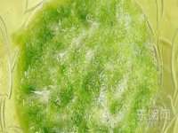 海口市喜环实业有限公司