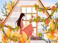 海口市喜环实业有限公司