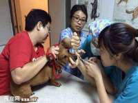 海口市喜环实业有限公司