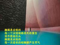 海口市喜环实业有限公司