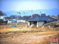 海口市喜环实业有限公司