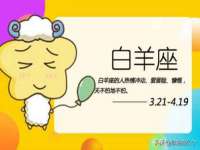 海口市喜环实业有限公司