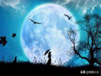 海口市喜环实业有限公司