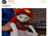 海口市喜环实业有限公司