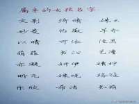 海口市喜环实业有限公司